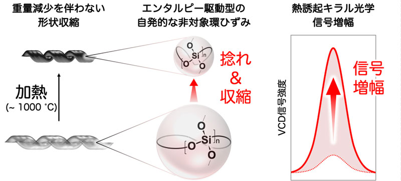 文章を入れてください
