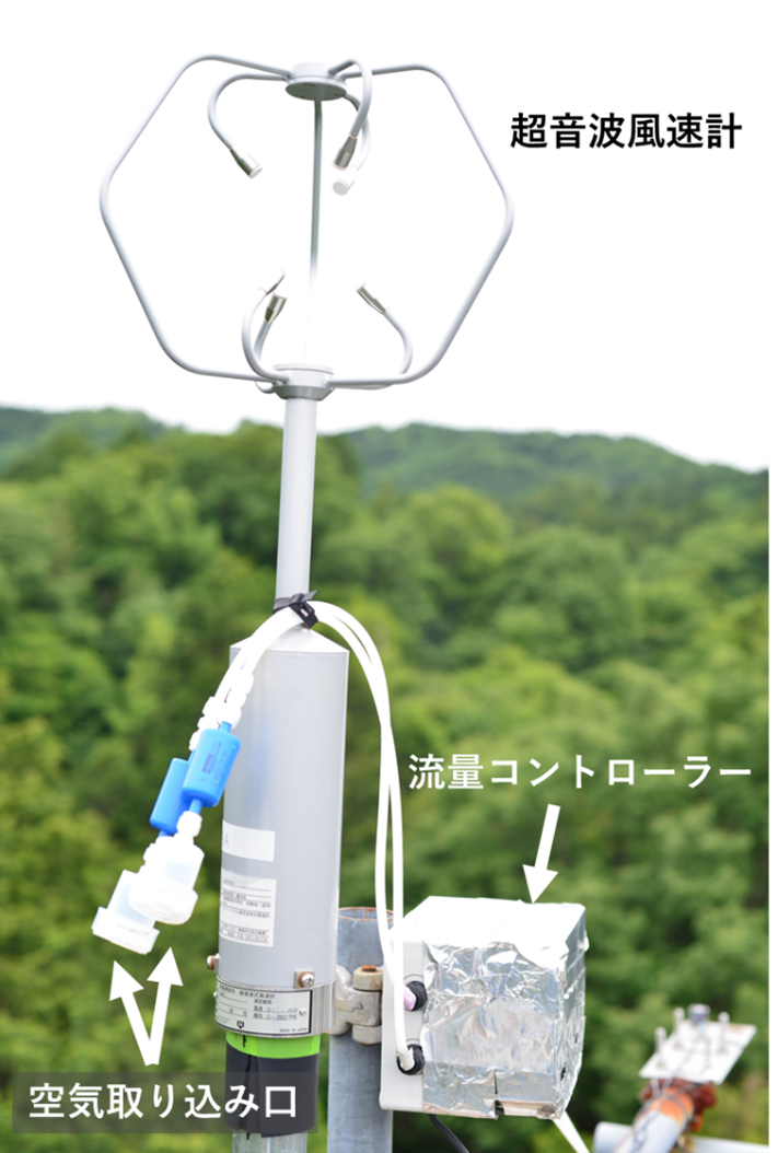 文章を入れてください