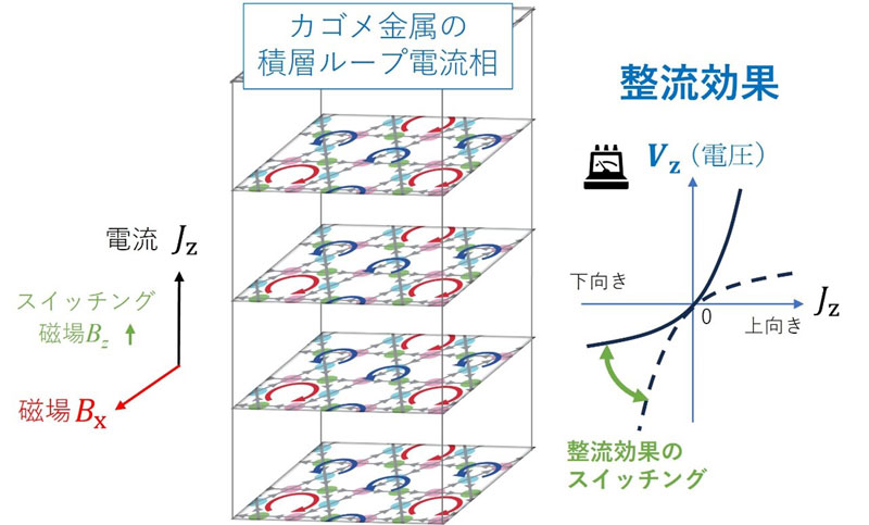 文章を入れてください