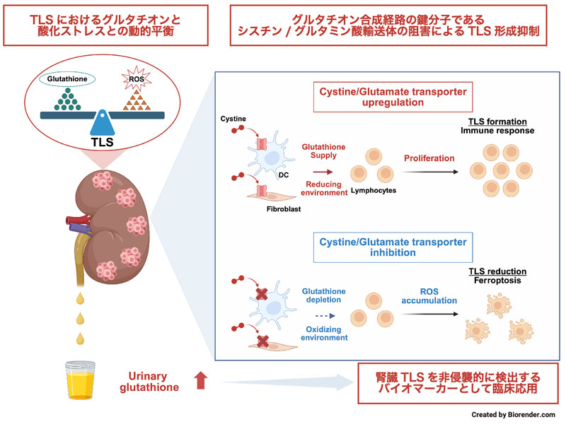 文章を入れてください