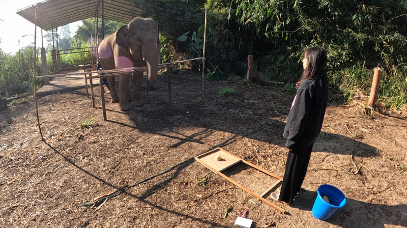 文章を入れてください