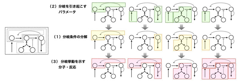 文章を入れてください