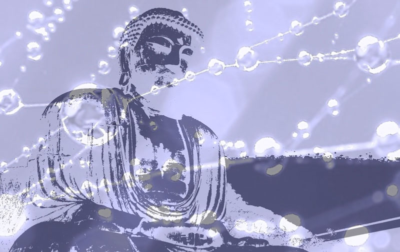 文章を入れてください