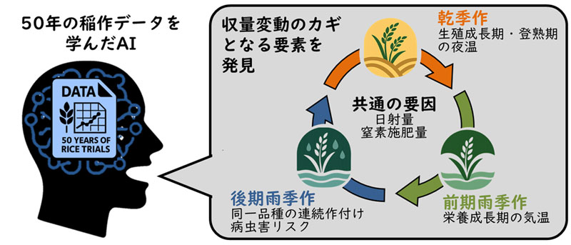文章を入れてください