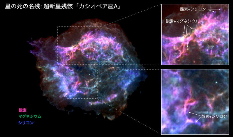 文章を入れてください