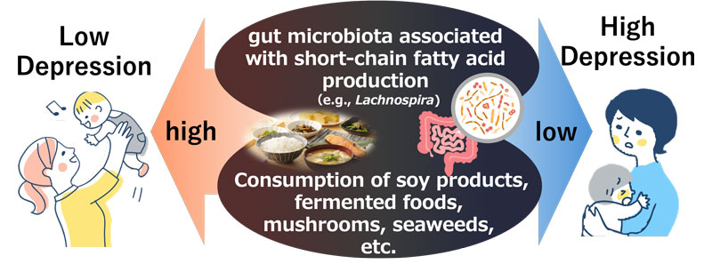 文章を入れてください