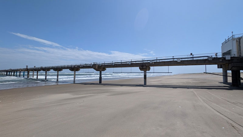 文章を入れてください