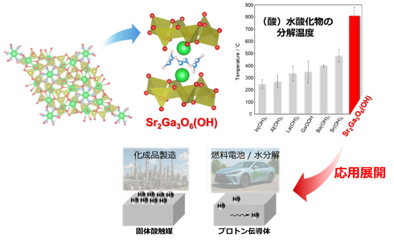 文章を入れてください
