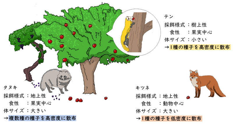 文章を入れてください