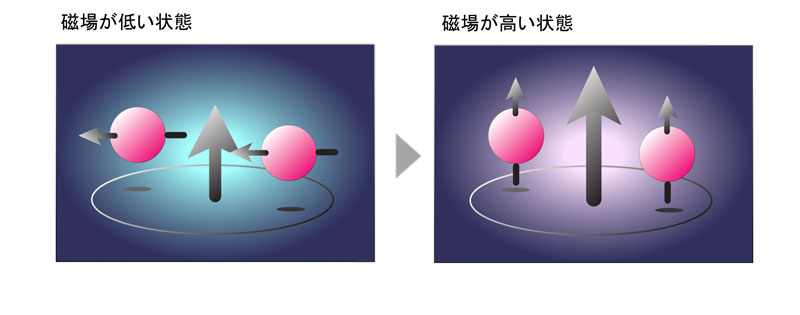 文章を入れてください