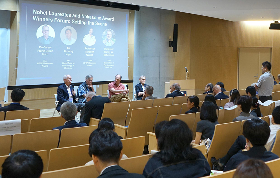 文章を入れてください