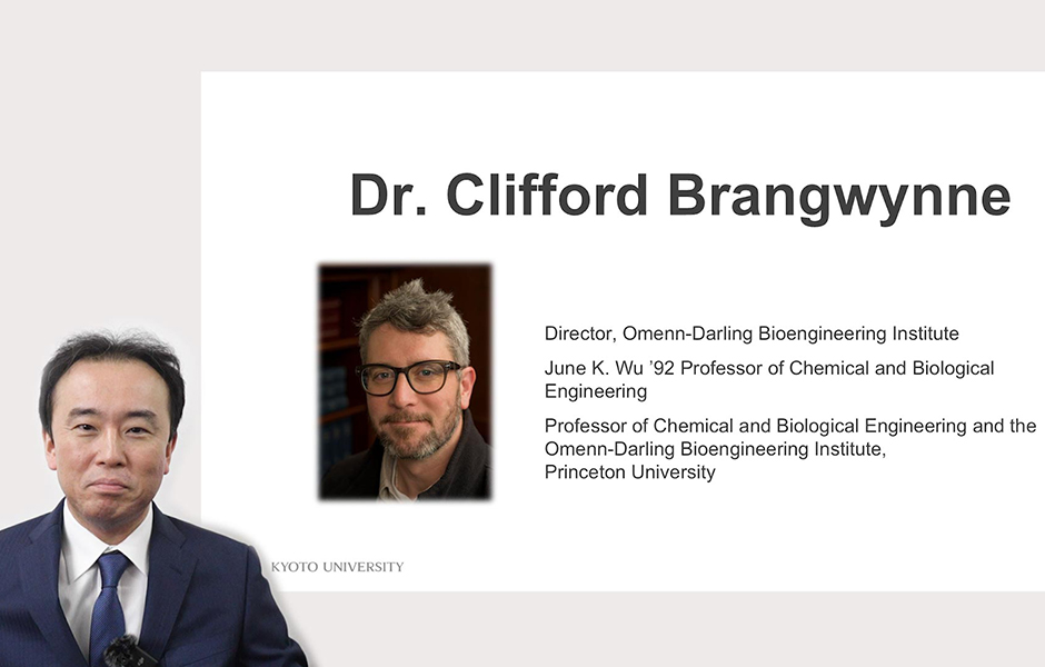 文章を入れてください