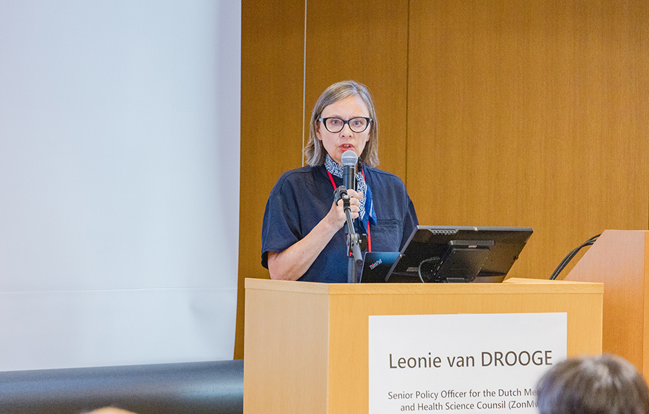 文章を入れてください