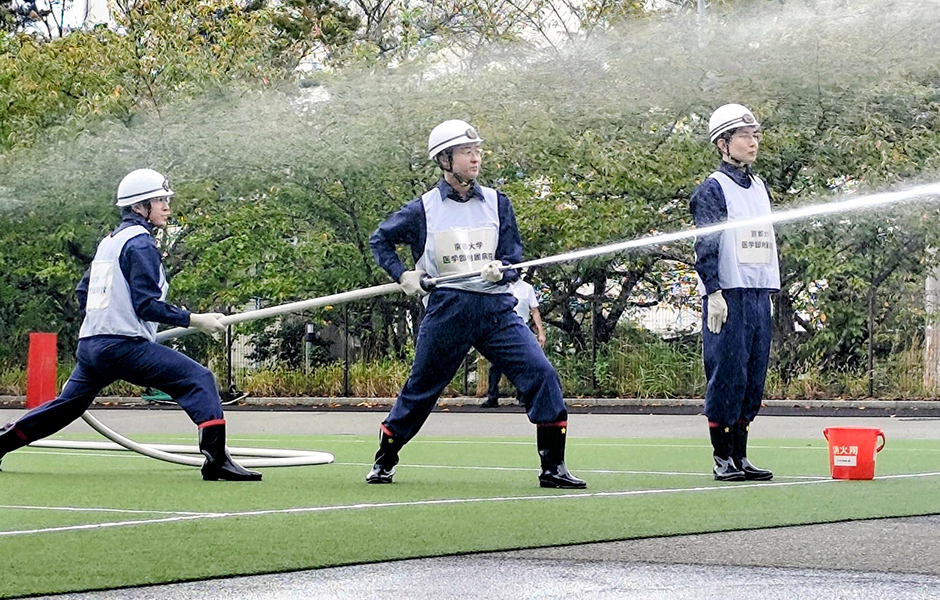 文章を入れてください