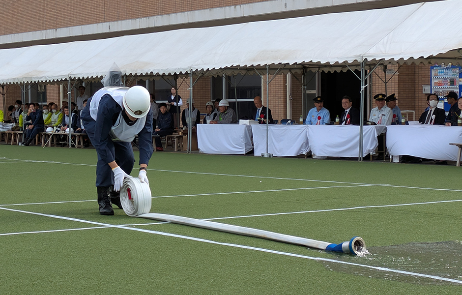 文章を入れてください