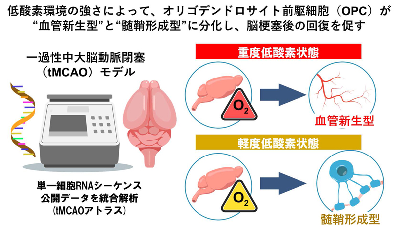 文章を入れてください