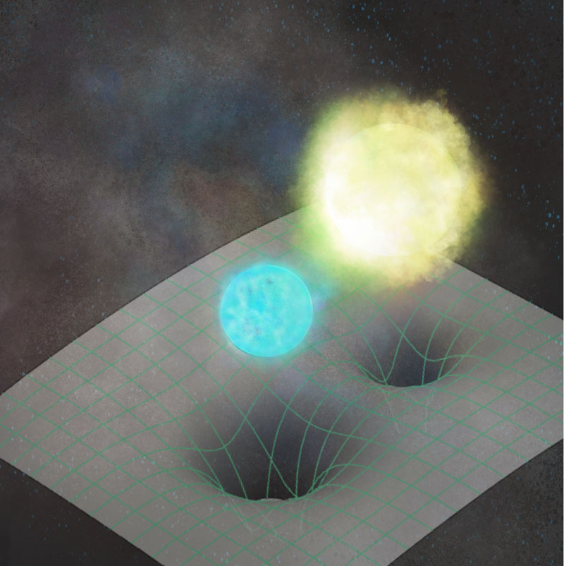 文章を入れてください