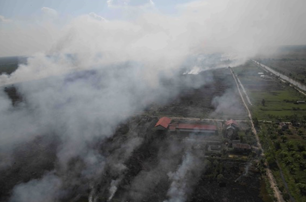 文章を入れてください