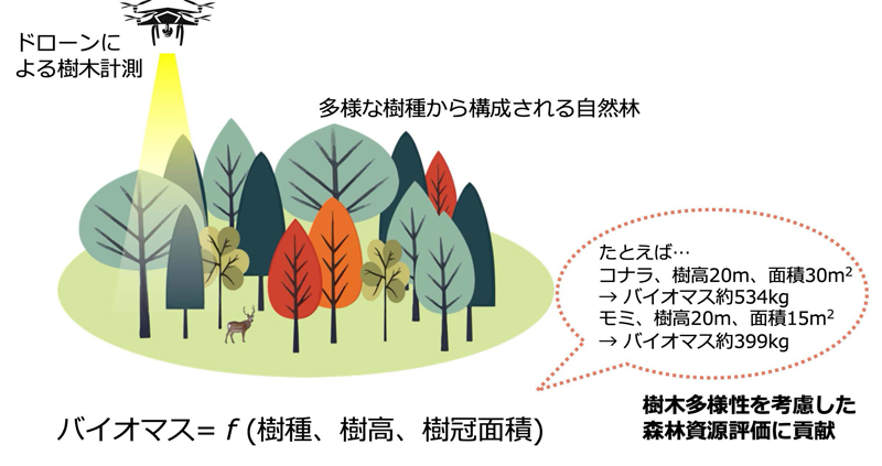 文章を入れてください