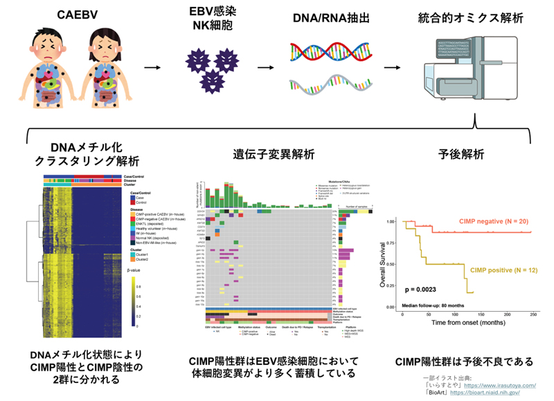 文章を入れてください