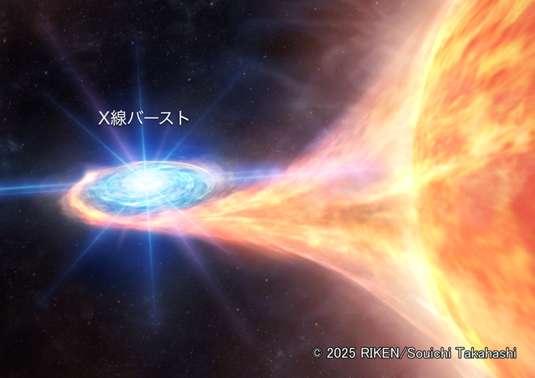 文章を入れてください