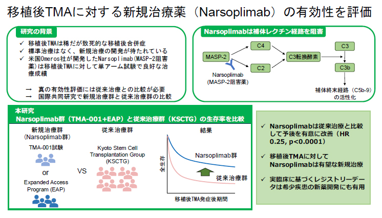 文章を入れてください