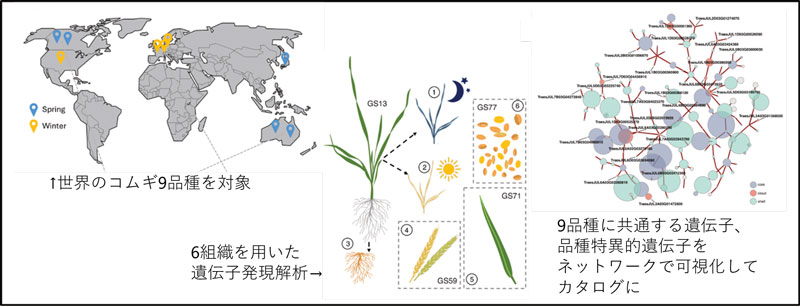 文章を入れてください