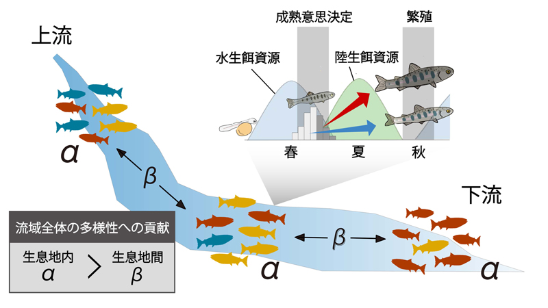 文章を入れてください
