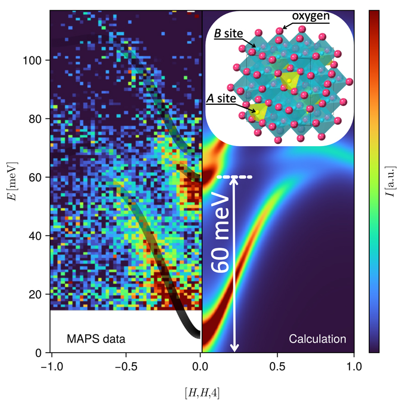 文章を入れてください