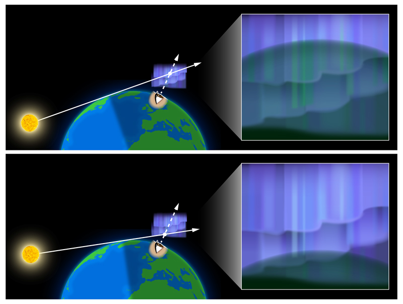 文章を入れてください