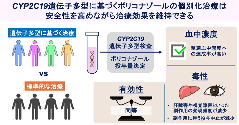 文章を入れてください