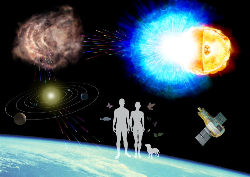 文章を入れてください