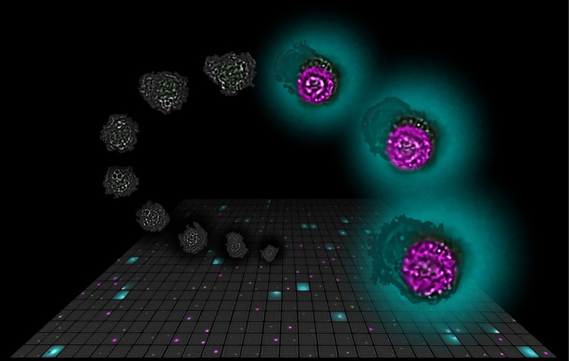 文章を入れてください