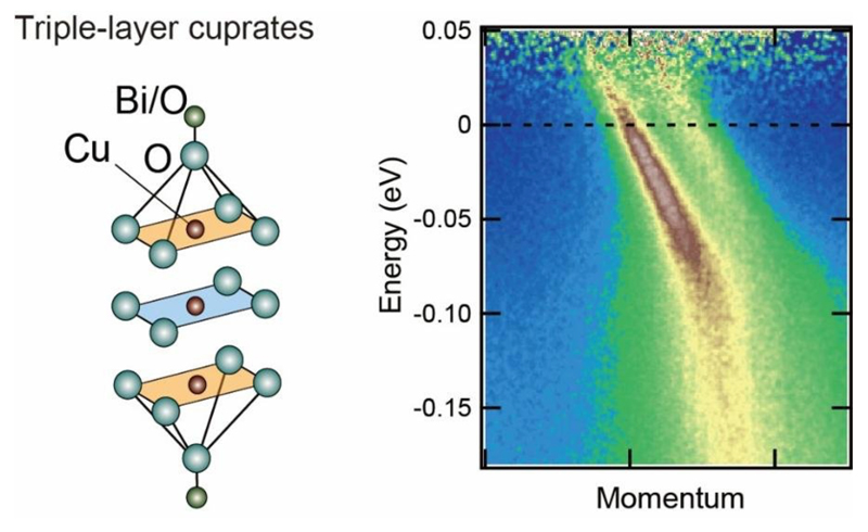 文章を入れてください