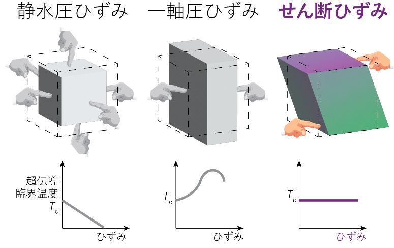 文章を入れてください