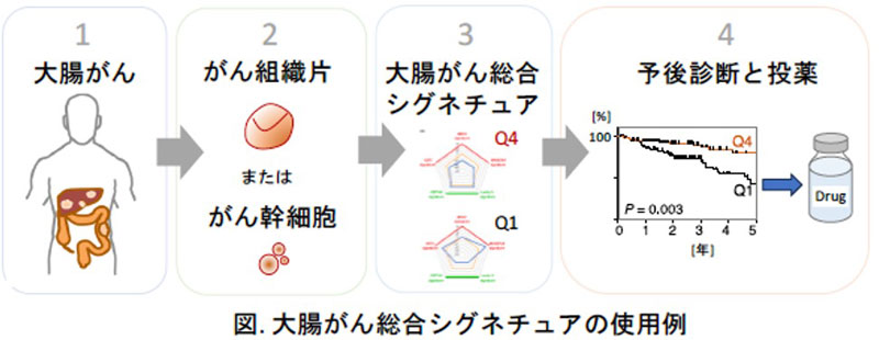 文章を入れてください