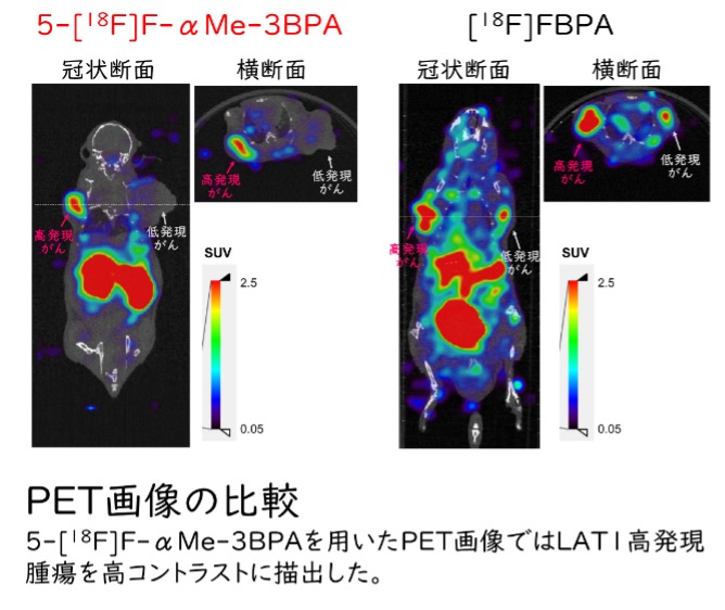 文章を入れてください