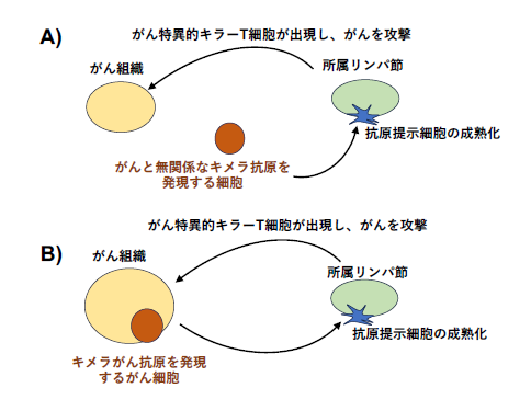 文章を入れてください