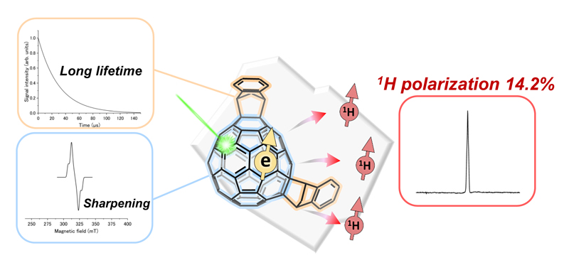 文章を入れてください