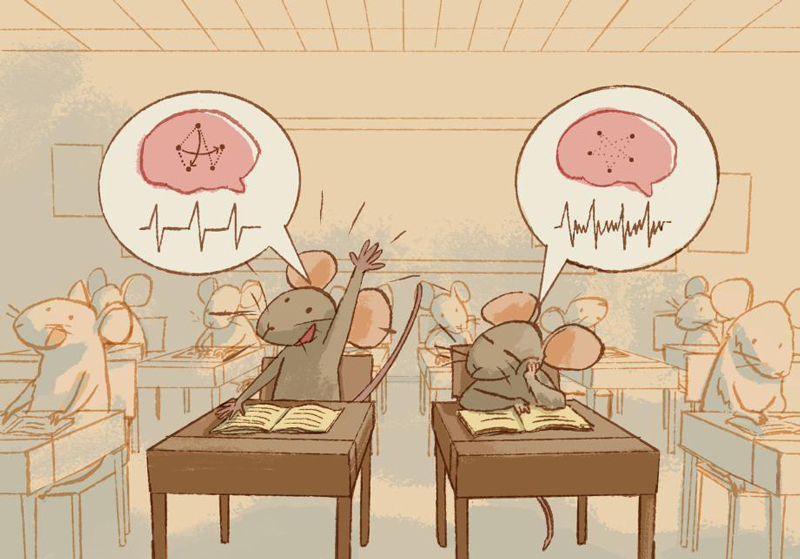 文章を入れてください