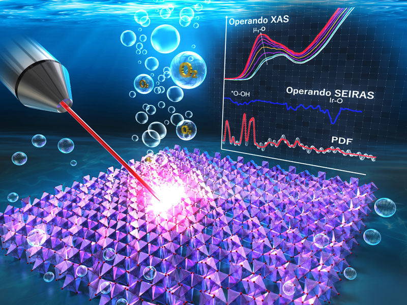 文章を入れてください