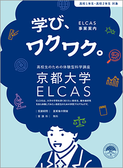 文章を入れてください