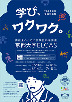 文章を入れてください