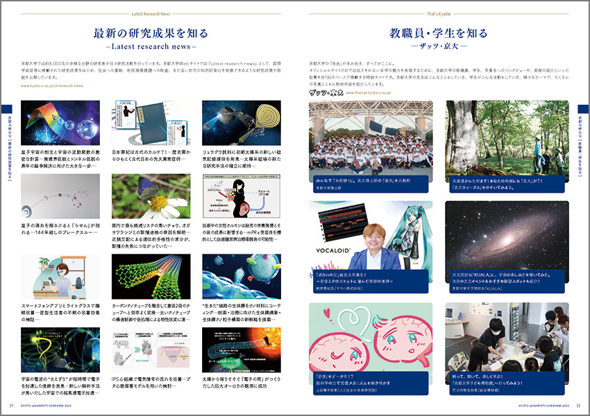 文章を入れてください