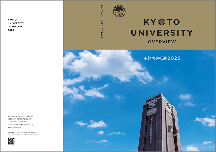 文章を入れてください