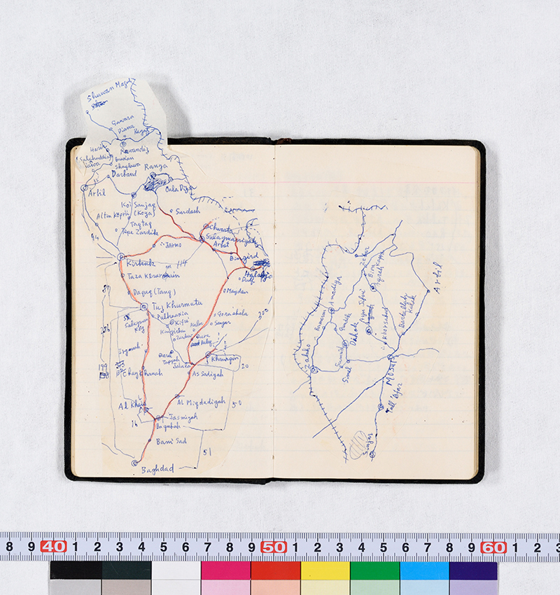 文章を入れてください