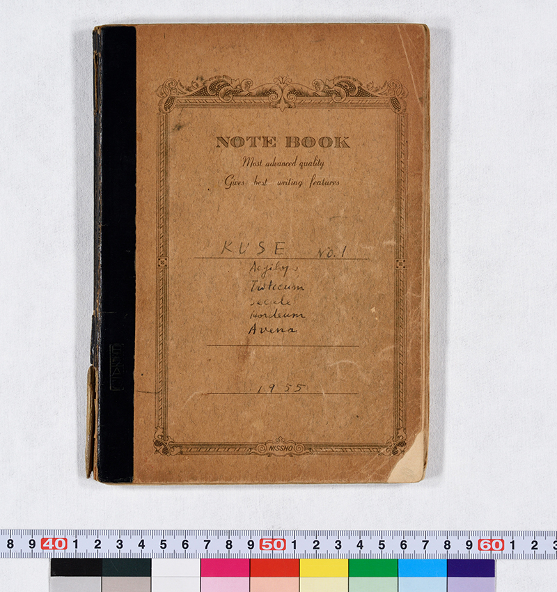 文章を入れてください