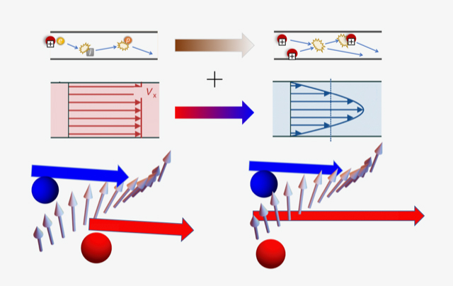 文章を入れてください