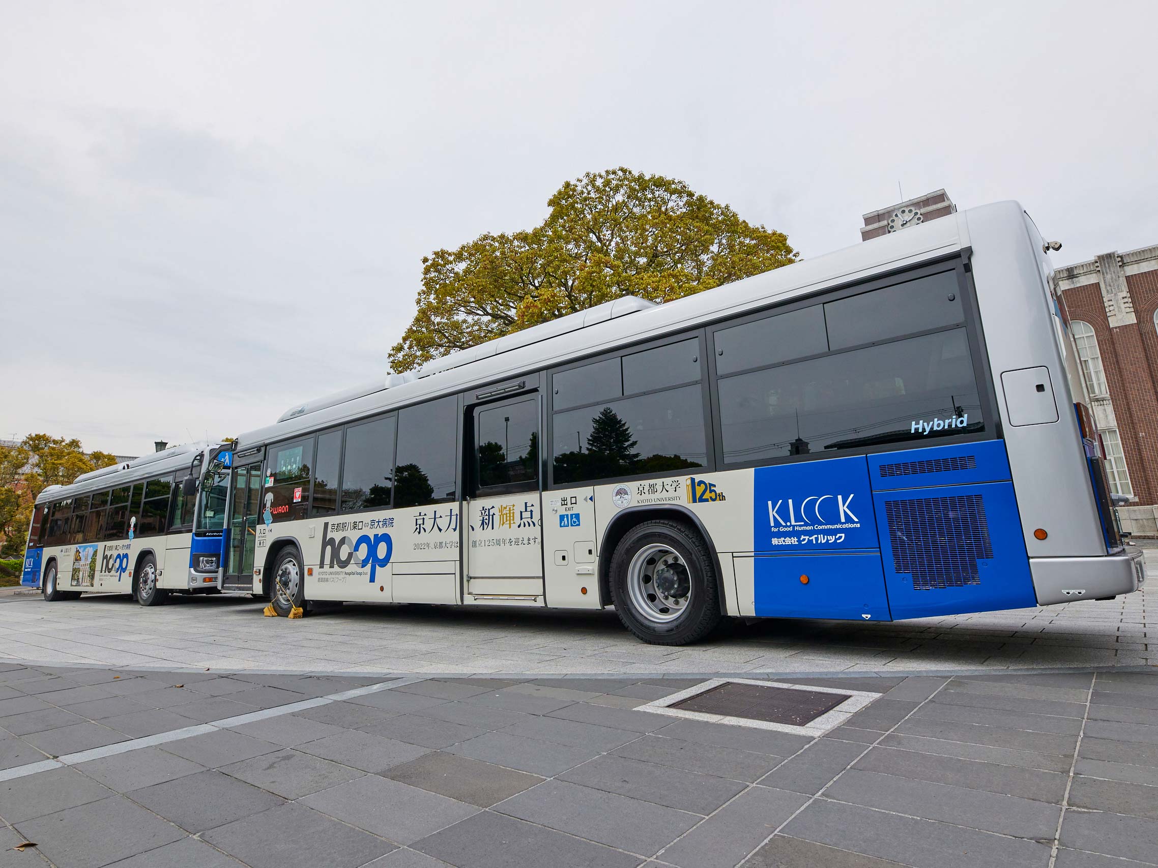 文章を入れてください