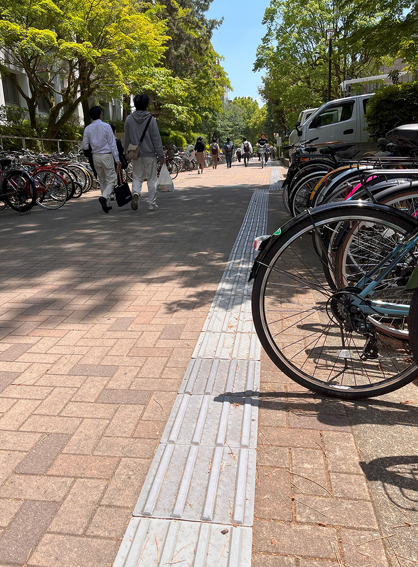 文章を入れてください